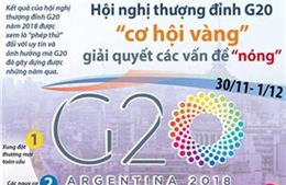 Hội nghị thượng đỉnh G20 - &#39;cơ hội vàng&#39; giải quyết các vấn đề &#39;nóng&#39;