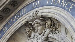 Ngân hàng Trung ương Pháp hạ dự báo tăng trưởng do biểu tình