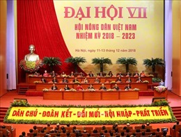 Đại hội đại biểu toàn quốc Hội Nông dân Việt Nam bước vào ngày làm việc đầu tiên