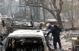 Các công ty bảo hiểm phải chi ít nhất 9 tỷ USD sau cháy rừng tại California
