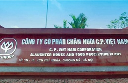 Phạt tù 11 nhân viên Công ty chăn nuôi CP Việt Nam