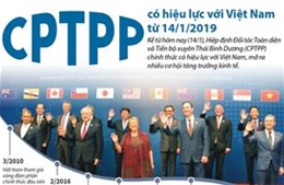 CPTPP có hiệu lực với Việt Nam từ 14/1/2019