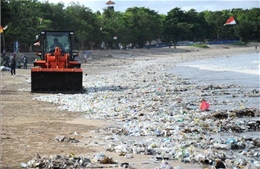 Môi trường sống ở Đông Nam Á có nguy cơ xuống cấp vì rác thải