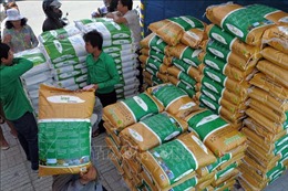 Trung Quốc sẽ nhập khẩu 400.000 tấn gạo của Campuchia