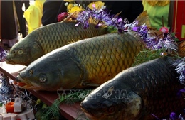 Hội thi cỗ cá không đâu có tại Lễ hội đền Trần - Thái Bình
