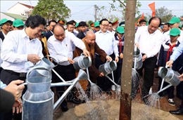 Thủ tướng Nguyễn Xuân Phúc dự Lễ phát động &#39;Tết trồng cây đời đời nhớ ơn Bác Hồ&#39;