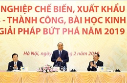 Thủ tướng Nguyễn Xuân Phúc: Xuất khẩu gỗ và lâm sản phải vượt kim ngạch 11 tỷ USD
