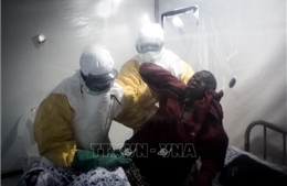 Hy vọng mới về vaccine đa năng phòng mọi chủng virus Ebola 