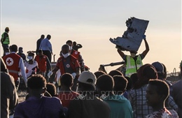Vụ tai nạn máy bay Ethiopia: Công bố các tổ chức của LHQ có nhân viên thiệt mạng 