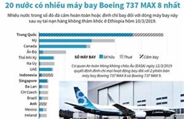 20 nước có nhiều máy bay Boeing 737 MAX 8 nhất