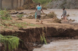 Hơn 1.000 người dân Mozambique thiệt mạng do bão nhiệt đới Idai