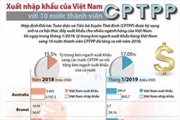 Xuất nhập khẩu của Việt Nam với 10 nước thành viên CPTPP