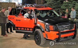 Thị trường ô tô Hàn Quốc: Xe SUV chiếm ưu thế so với dòng xe sedan