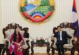 Thủ tướng Lào đánh giá cao sự hợp tác, giúp đỡ của tỉnh Vĩnh Phúc