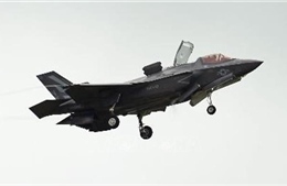 Nhật Bản tạm ngừng hoạt động của đội bay F-35A