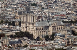 UNESCO sẽ ủng hộ Pháp bảo tồn, tu sửa nhà thờ Đức Bà ở Paris