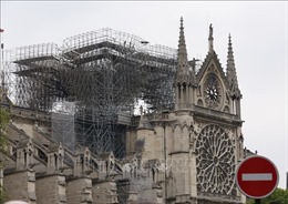 Báo giới châu Âu tranh cãi về ủng hộ phục dựng Nhà thờ Đức Bà Paris