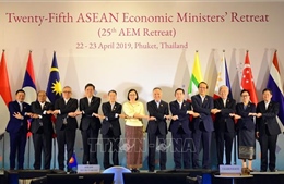 Việt Nam tham dự Hội nghị hẹp Bộ trưởng Kinh tế ASEAN lần thứ 25