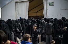 Na Uy sẵn sàng tiếp nhận có điều kiện con của các công dân ủng hộ IS 