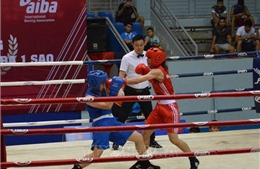 Bế mạc giải Vô địch các Câu lạc bộ Boxing toàn quốc năm 2019