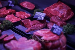 EU hối thúc Nhật Bản bỏ lệnh cấm nhập khẩu thịt bò từ châu Âu