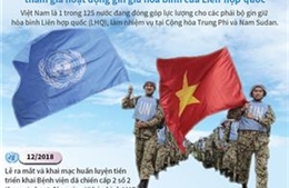 Việt Nam tham gia hoạt động gìn giữ hòa bình của Liên hợp quốc