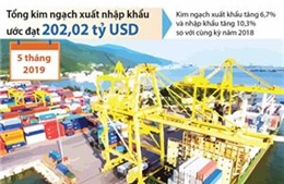 5 tháng, tổng kim ngạch xuất nhập khẩu hàng hóa ước đạt 202,02 tỷ USD