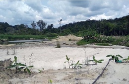 Xác minh hoạt động khai thác quặng trong khu vực rừng do Bộ Chỉ huy Quân sự tỉnh Đắk Nông quản lý