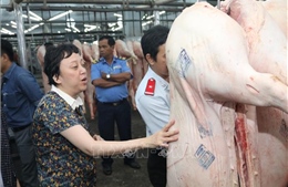 Thành phố Hồ Chí Minh tăng cường kiểm tra giám sát nguồn thịt lợn vận chuyển vào thành phố