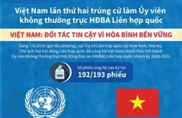 Việt Nam lần thứ hai trúng cử làm Ủy viên không thường trực HĐBA Liên hợp quốc