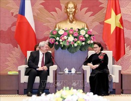 Quan hệ hữu nghị và hợp tác truyền thống Việt Nam-Séc đang phát triển mạnh mẽ