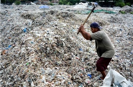 Indonesia và Malaysia trả lại hàng chục container chứa rác nhập khẩu