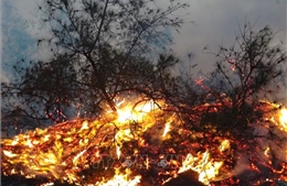 Ít nhất 15 ha rừng bị cháy tại xã Sơn Thành, tỉnh Nghệ An
