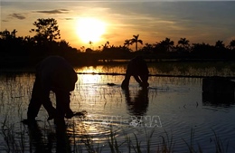 Đầu tháng 7, nắng nóng có khả năng chấm dứt tại Bắc Bộ và Trung Bộ