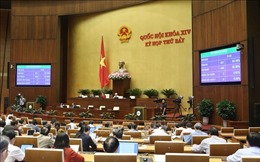 Nghị quyết của Quốc hội về Chương trình xây dựng luật, pháp lệnh năm 2020