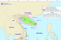 Áp thấp nhiệt đới cách quần đảo Hoàng Sa 190 km, gió giật cấp 9