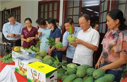 Sơn La sản xuất gắn với chế biến, tiêu thụ và xuất khẩu nông sản