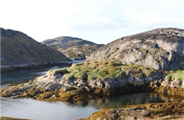 Cảnh báo nhiệt độ tăng đe dọa các di tích khảo cổ trên đảo Greenland