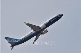 American Airlines gia hạn lệnh ngừng khai thác Boeing 737 MAX