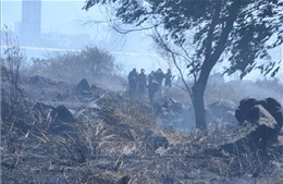 Kịp thời dập tắt vụ cháy rừng trên núi Sơn Trà, Đà Nẵng