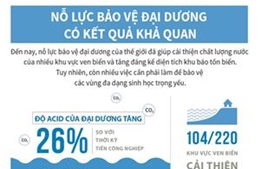 Nỗ lực bảo vệ đại dương có kết quả khả quan