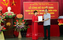 Tinh gọn các đơn vị sự nghiệp thuộc Sở Văn hóa, Thể thao và Du lịch Hải Dương