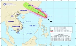 Bão Bailu khả năng mạnh thêm, Trung Bộ mưa lớn đến ngày 25/8