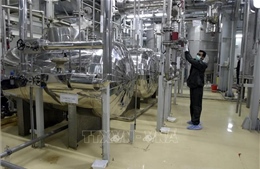 IAEA xác nhận Iran đang lắp đặt các máy ly tâm tiên tiến