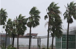 Mưa lớn, gió lốc do bão Tapah, Hàn Quốc phải hủy hàng trăm chuyến bay 