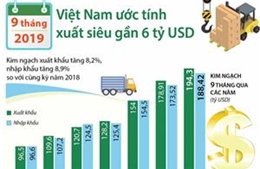 9 tháng năm 2019, Việt Nam ước tính xuất siêu gần 6 tỷ USD