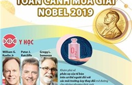 Toàn cảnh mùa giải Nobel 2019