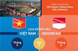 Lịch sử những trận đối đầu giữa đội tuyển Việt Nam - Indonesia