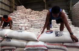 Philippines sẽ giảm nhập khẩu gạo trong năm tới