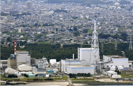 Japan Atomic Power khả năng nhận 3,2 tỷ USD để khôi phục nhà máy điện hạt nhân